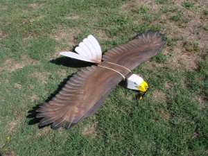 Indian MAV for intelligent bird scaring