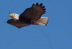 BirdXPeller Predator Drone, bird scaring sUAS