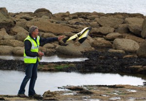 BBC Coast uses sUAS to map Roman Harbour.