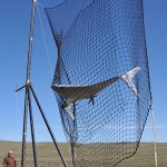 bat12_net