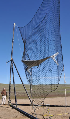 bat12_net