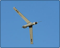ScanEagle