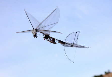 IAI Butterfly