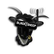 teamblacksheep