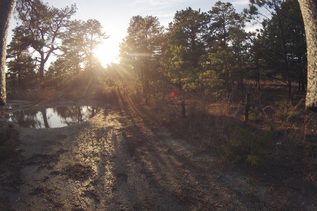 Pine Barrens, Drones, and the New Aesthetic