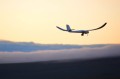 The plane