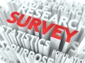 surveyimage