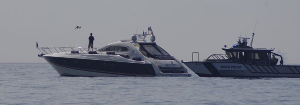 InspireOrcas-600x211.jpg