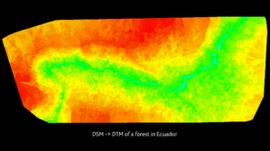 DSM-DTM-extraction-600-300x168.gif