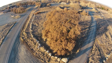 patrickstree