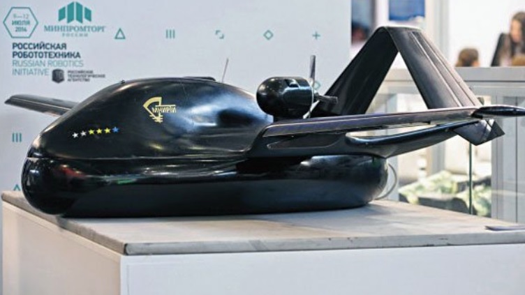 Chirok amphibious UAV
