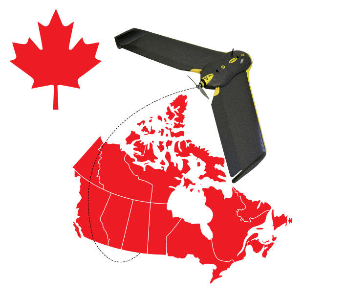 canadian student