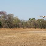 RPAS takeoff in Gorongosa National Park