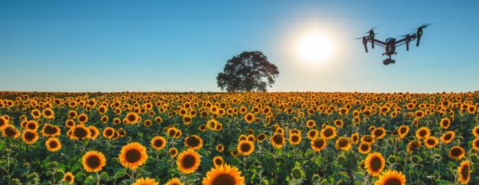 inspire sunflowers UAV Academy