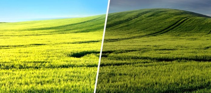 Pix4d two fields sunshine