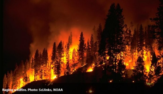 Raging Wildfire