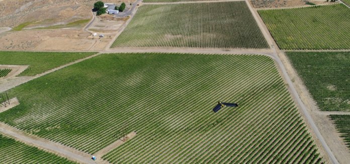 ebee crop PBS