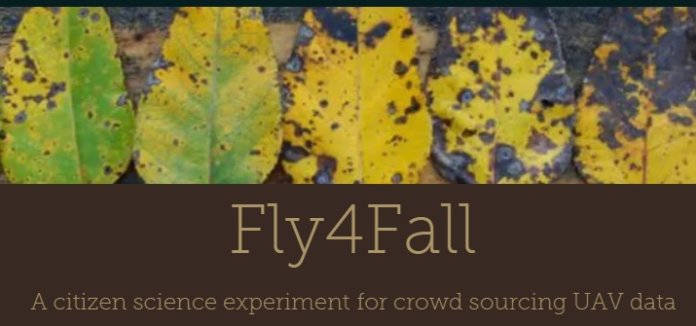 fly4fall