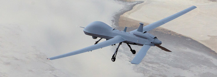 gray-eagle