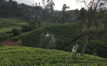 teaspraydemo-356x220.jpg