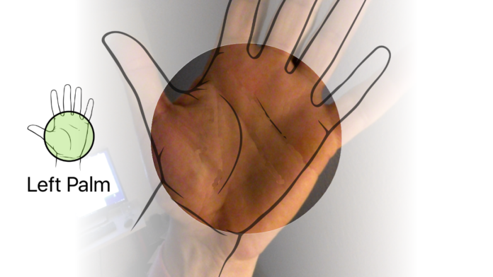 Palm1