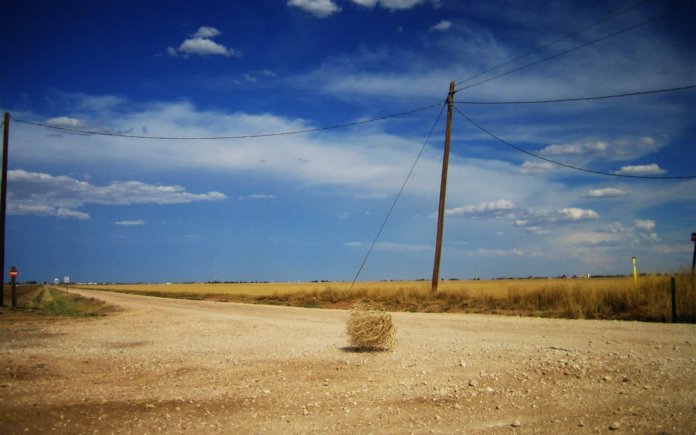 tumbleweed