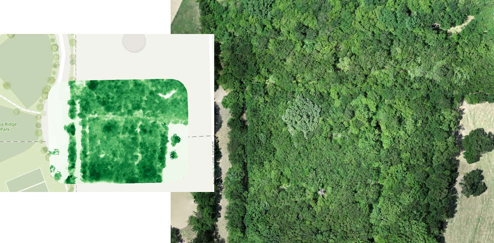 Aerial Vantage Wins Contract With a Forestry and Land Administration Firm – sUAS Information