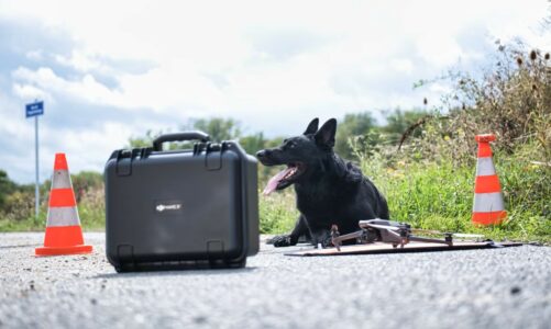 Revolutionising Search and Rescue – Drones and Canine Teams Join Forces in Groundbreaking Operations